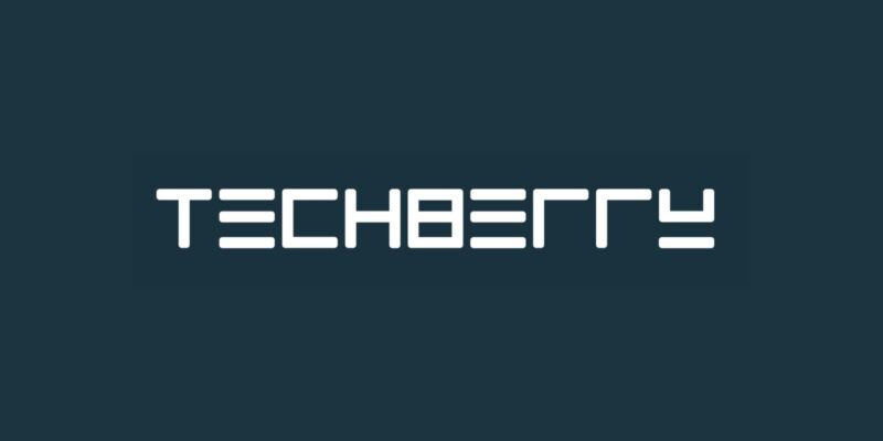 TechBerry logo
