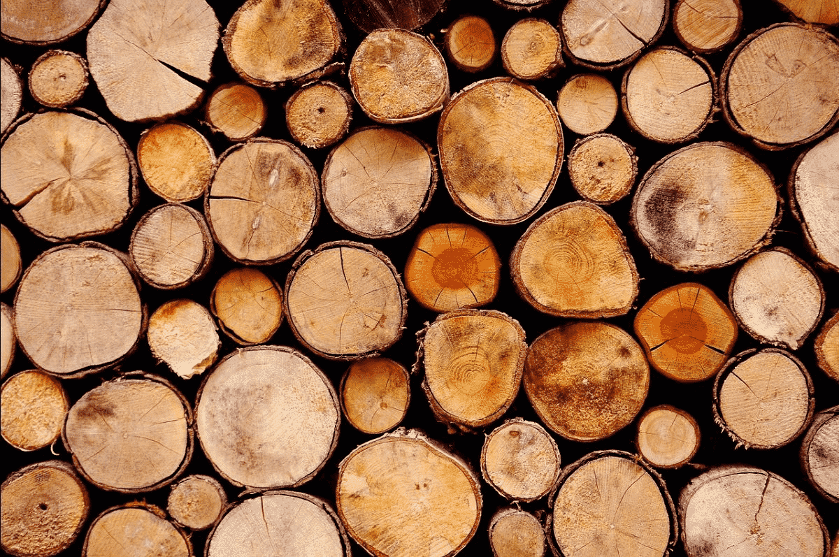 Lumber, Timber and Wood ETF Top 3 Not to Lost in the Forest Thicket of